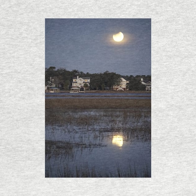 Moonlight over the Lowcountry by MJDiesl